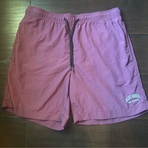 PacSun Nylon Collegiate 6.5" Swim Trunks